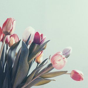 Meet your Posher, Kristine